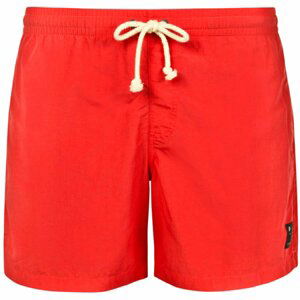 Protest Fast Beachshort L