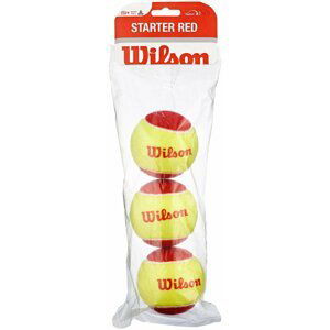 Wilson Starter Easy Balls