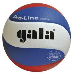 Volejbalová lopta gala pro-line bv 5591 s