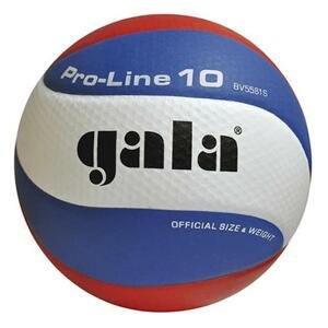 Volejbalová lopta gala pro-line 10 bv 5581 s