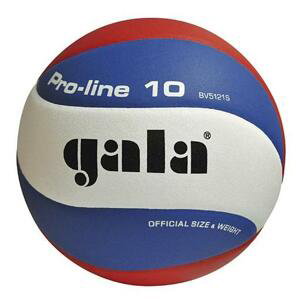 Volejbalová lopta gala pro-line 10 bv 5121 s