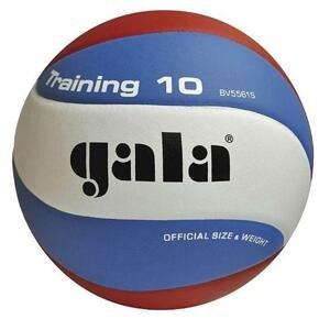 Volejbalová lopta gala training 10 bv 5561 s
