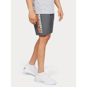 Shorts Under Armour Woven Graphic Wordmark Short