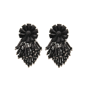 Top Secret LADY'S EARRINGS