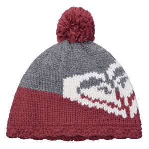 Roxy Winter Beanie Womens