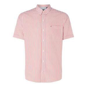 IZOD Seersucker Stripred Shirt