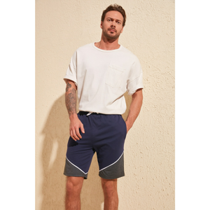 Trendyol Navy Blue Men's Slim Fit Paneled Shorts & Bermuda