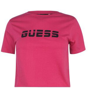 Guess Mesh Cropped T Shirt