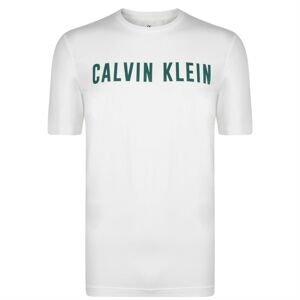 Calvin Klein Performance Logo Short Sleeved T Shirt