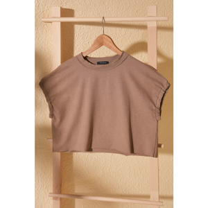 Trendyol Mink Crop Knitted T-Shirt