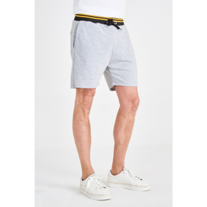 Trendyol Grey Men's Shorts & Bermuda