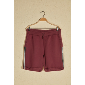 Trendyol Burgundy Men's Shorts & Bermuda