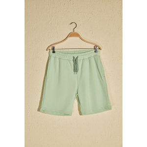 Trendyol Green Men's Shorts & Bermuda