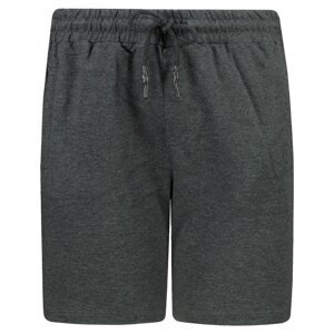 Trendyol Anthracite Men's Slim Fit Shorts & Bermuda