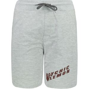 Pánske teplákové kraťasy Trendyol Shorts & Bermuda