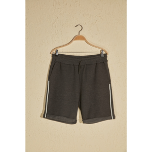 Trendyol Anthracite Men's Shorts & Bermuda