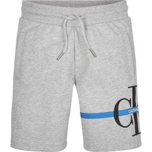 Calvin Klein Calvin Mono Stripe Sweat Shorts