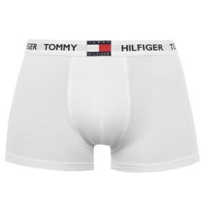 Tommy Bodywear Large Logo Trunks