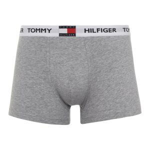 Tommy Bodywear Large Logo Trunks