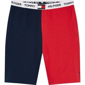 Tommy Bodywear Logo Shorts