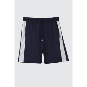 Trendyol Navy Men's Panelshorts & Bermuda