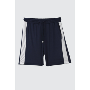 Trendyol Navy Blue Men's Regular Fit Paneled Shorts & Bermuda