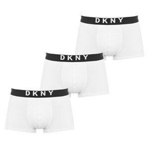 DKNY 3 Pack Trunks