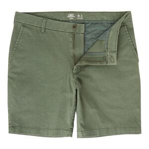 IZOD Saltwater Stretch Shorts