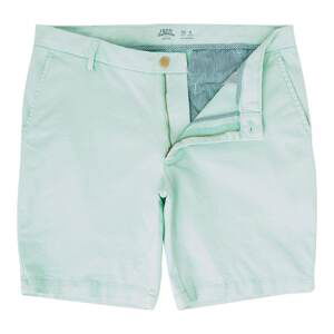 IZOD Saltwater Stretch Shorts