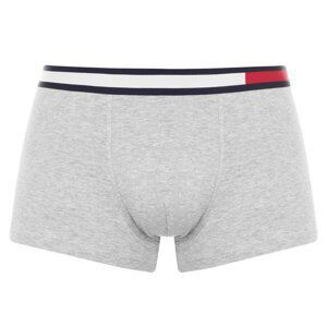 Tommy Bodywear Flag Band Trunks