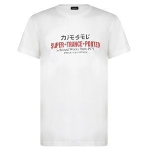 Diesel Superior Logo T Shirt