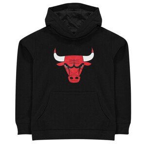 NBA Logo Hoodie Junior