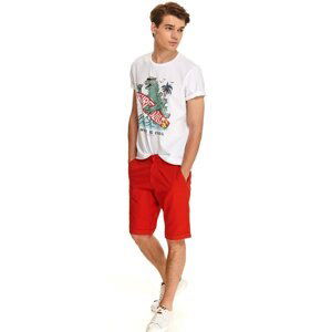 Top Secret MEN'S T-SHIRT SHORT SLEEVE