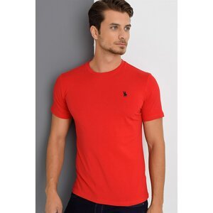T8536 DEWBERRY T-SHIRT-RED