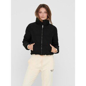 Black Jacket ONLY Dolly