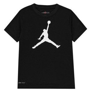 Air Jordan T Shirt