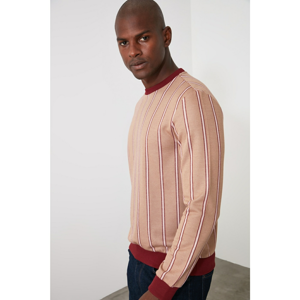 Trendyol Burgundy Men's Striped Sweatshirt