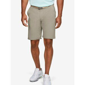 Tech Under Armour Brown Men's Shorts