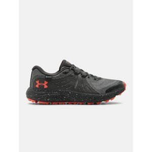 Shoes Under Armour UA W Charged Bandit TrailGTX-GRY