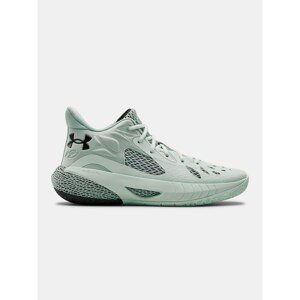 Shoes Under Armour UA HOVR Havoc 3-BLU