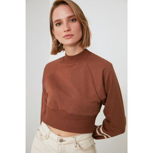Trendyol Mink Sheer Collar Crop Knitted Sweatshirt