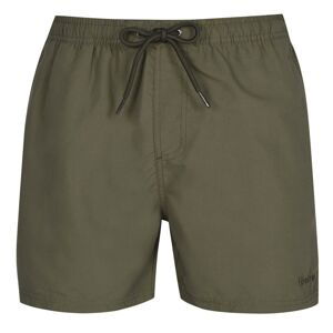 Firetrap Swim Shorts