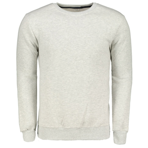 Edoti Men's plain sweatshirt B1169