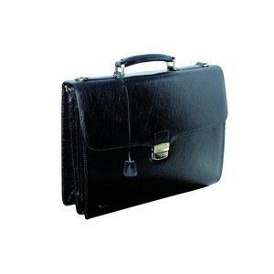 Cardinal Man's Leather Briefcase C811