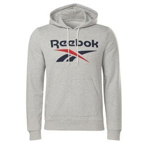 Reebok Identity Big Logo Hoodie male
