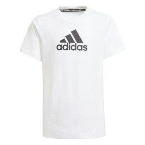 Adidas Logo T-Shirt male
