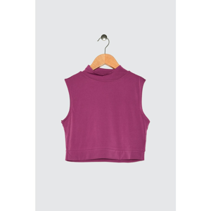 Trendyol Purple Stand Up Collar Crop Knitted Blouse