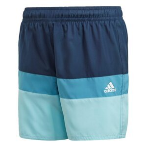 Adidas Colorblock Swim Shorts male