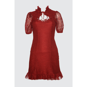 Trendyol Burgundy Collar Detailed Lace Dress