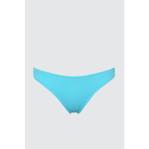 Trendyol Blue Gipeli Bikini bottom
